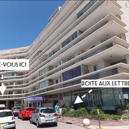 Appart Face A La Mer Les Pieds Dans L'Eau Canet-en-Roussillon Zewnętrze zdjęcie